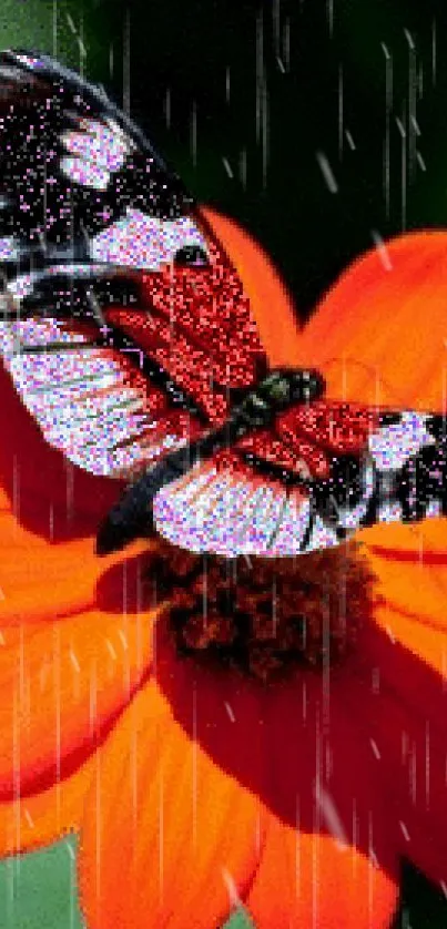 Vibrant butterfly perched on orange flower with rain effect.