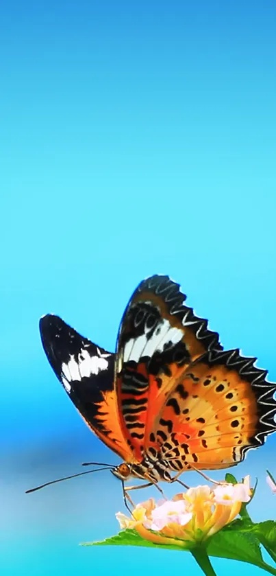 Vibrant butterfly on a flower against a blue sky backdrop.