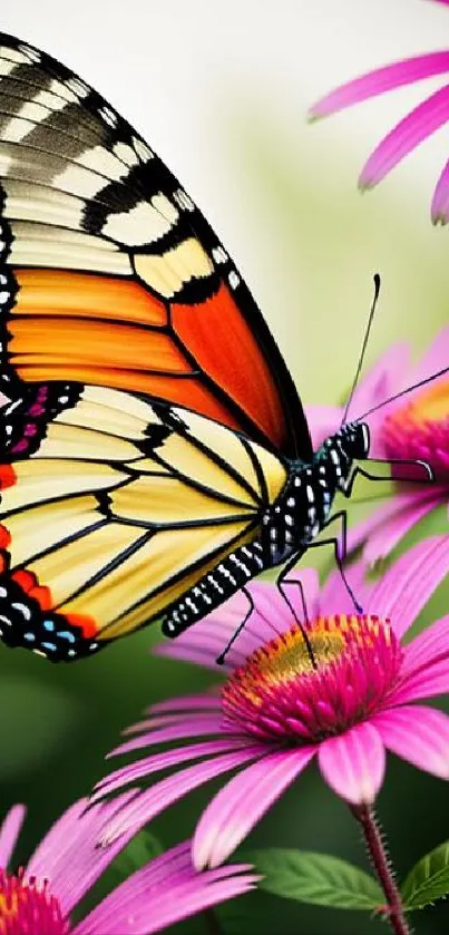 Vibrant butterfly resting on pink flowers in nature.