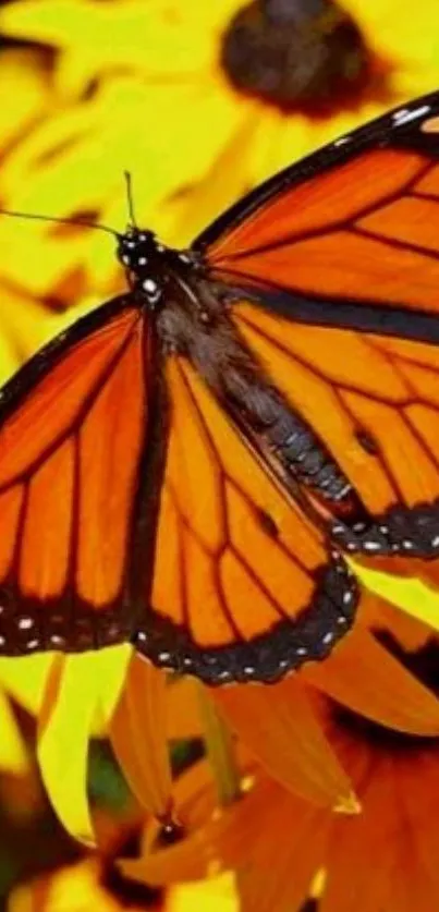 Vibrant orange butterfly on yellow flowers, perfect wallpaper.