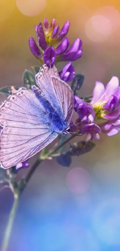 Delicate butterfly perched on vibrant purple flowers with a dreamy bokeh background.