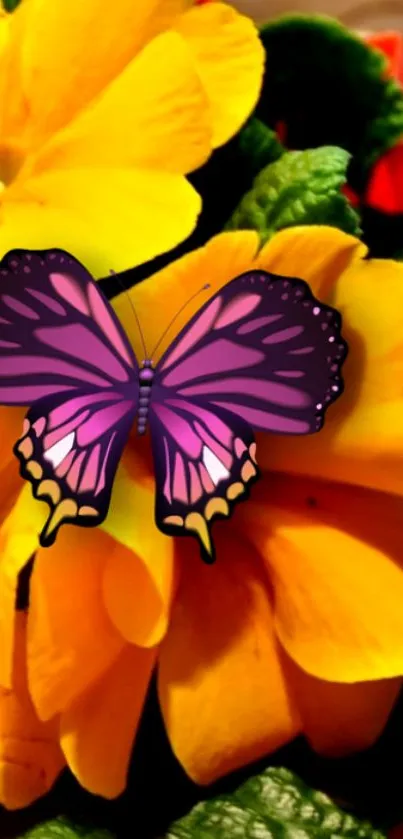 Purple butterfly rests on vibrant yellow flowers.