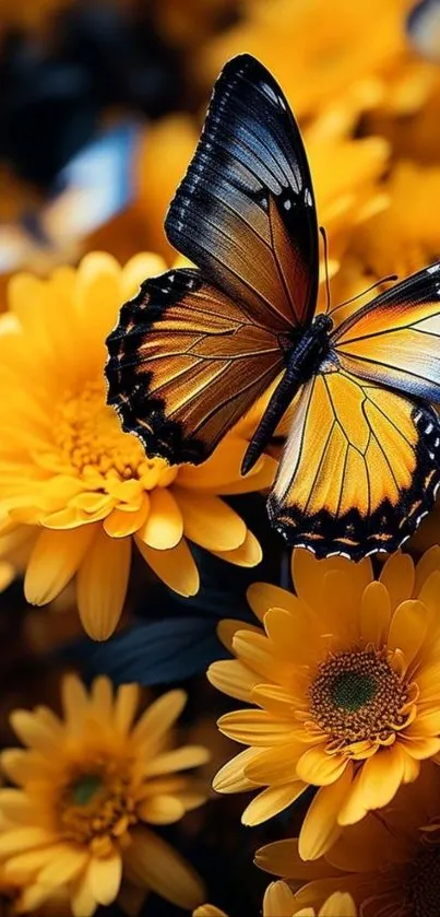 Vibrant butterfly perched on yellow flowers.