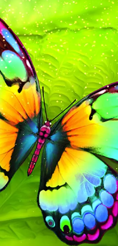 A vibrant butterfly resting on a bright green leaf.