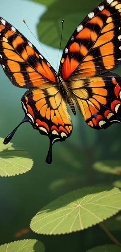 Orange butterfly on green leaves background.