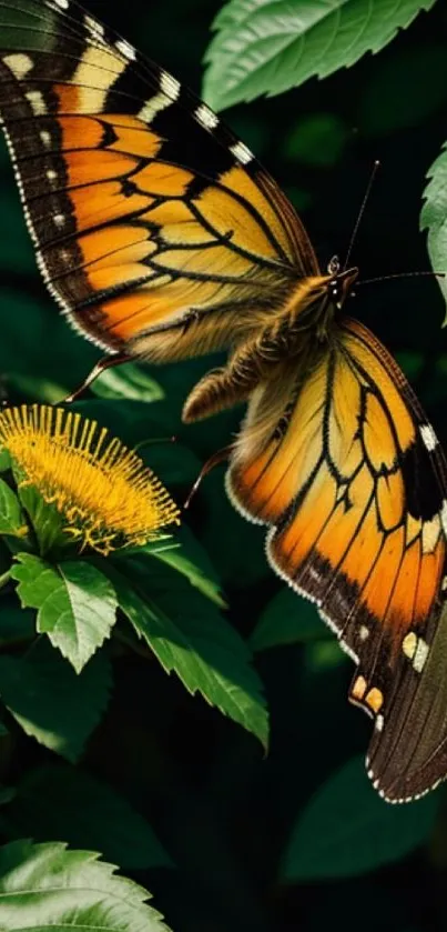 Vibrant butterfly on green leaves wallpaper.