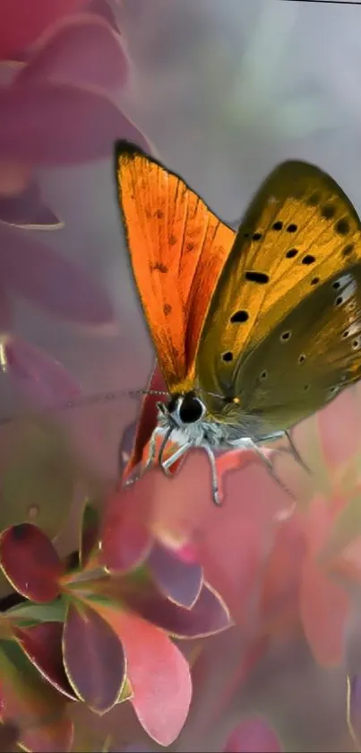 Vibrant orange butterfly on colorful leaves.