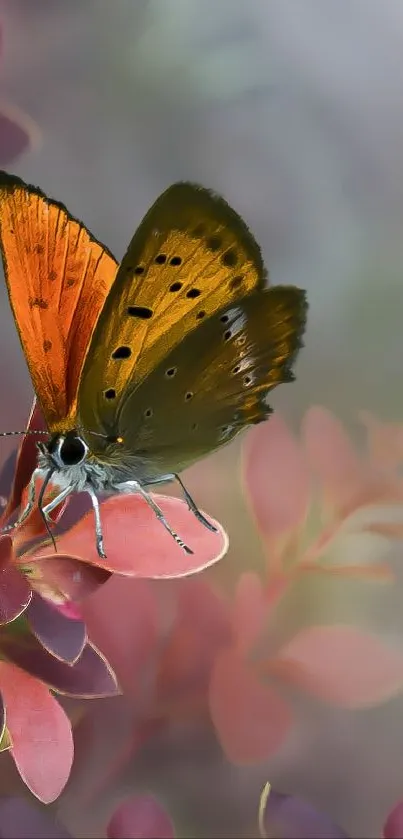 Vibrant orange butterfly on pink leaves background.