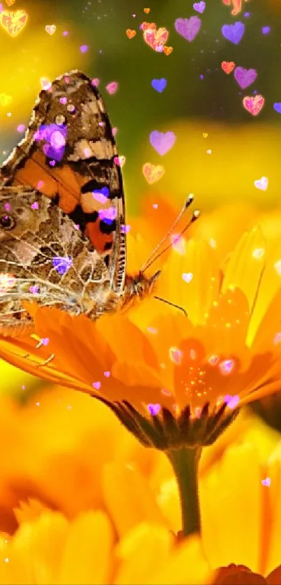 Butterfly perched on vibrant orange flowers creating a lively mobile wallpaper.