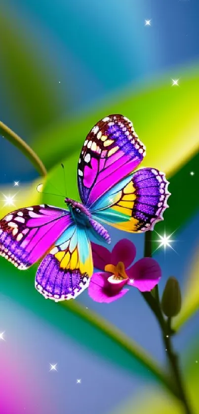 Purple butterfly on orchid with vibrant backdrop.