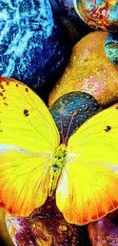 Bright yellow butterfly on colorful pebbles.