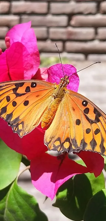 Vibrant butterfly on pink flowers with vivid colors.