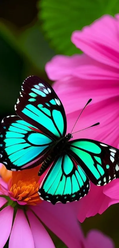 Turquoise butterfly on pink flowers wallpaper