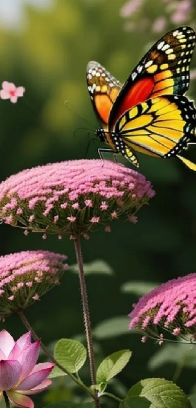 Butterfly on pink flowers in a vibrant garden.