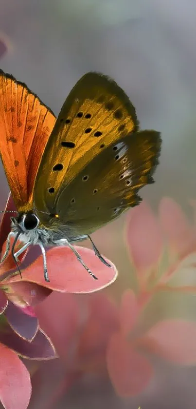 A vibrant butterfly sits on pink leaves, set against a blurred background.