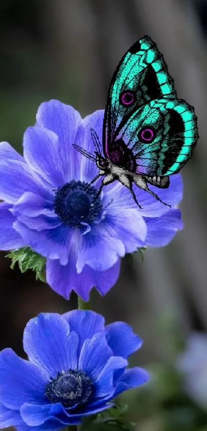 Bright butterfly on vibrant purple flowers