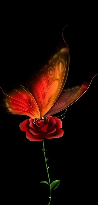 Vibrant butterfly resting on a red rose against a dark background.