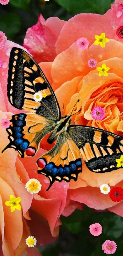 Butterfly resting on vibrant orange and pink dewy roses.