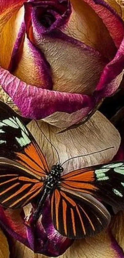 Butterfly resting on vibrant colorful roses.