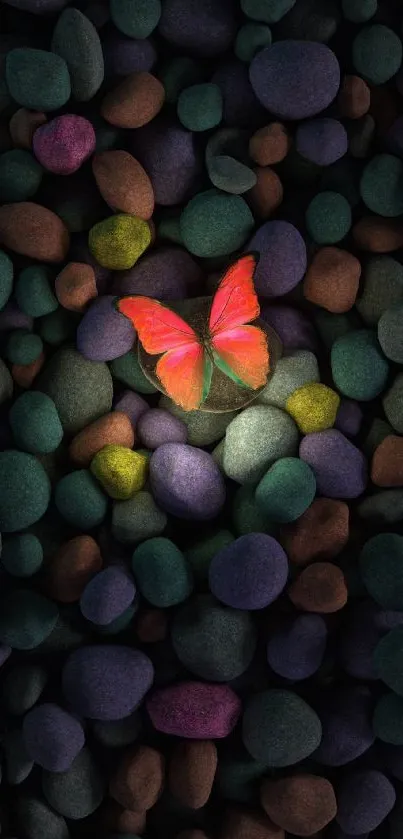 Vibrant butterfly rests on colorful stones in a dark, artistic mobile wallpaper.