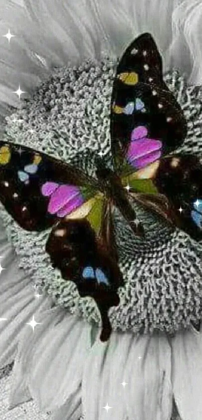 Colorful butterfly perched on a sunflower.