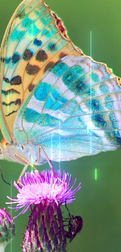 A colorful butterfly rests on a vibrant thistle against a green backdrop.