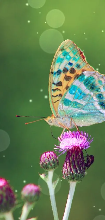 Colorful butterfly on thistle flower with green background.