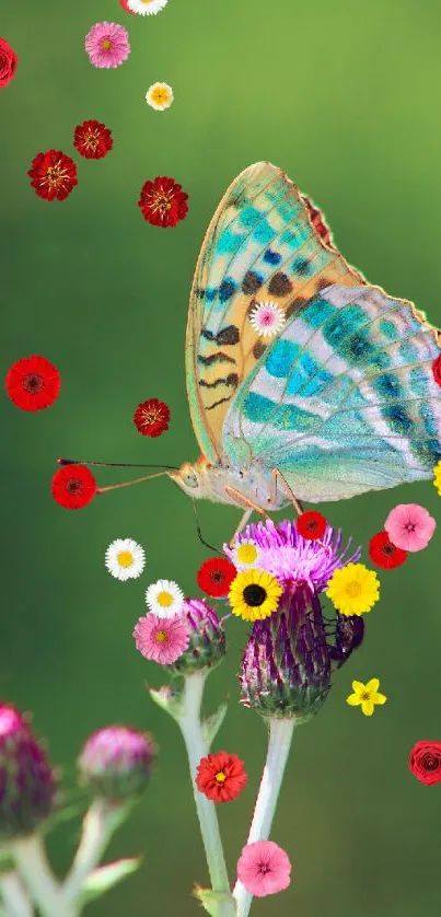 Butterfly resting on purple thistle with green background.