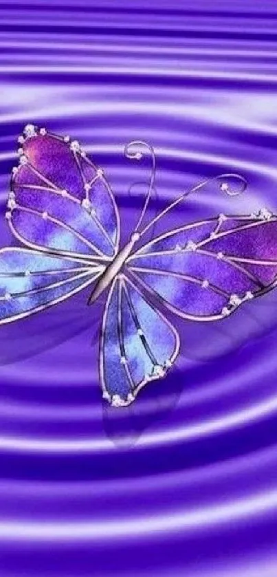 Elegant butterfly on purple water background.