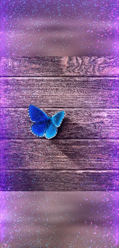 Blue butterfly on rustic wood with purple glowing accents.