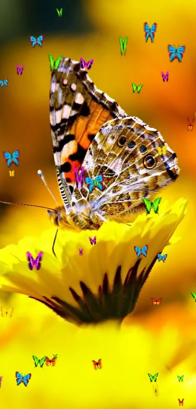 Vibrant butterfly on bright yellow flowers wallpaper.