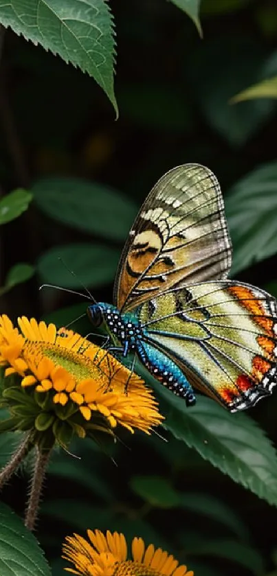 Vibrant butterfly perched on a bright yellow flower.