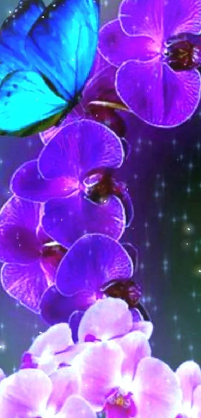 Blue butterfly on purple orchids with starry background.