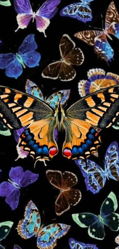 Dynamic wallpaper of colorful butterflies on a black background.