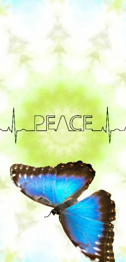 Vibrant blue butterfly with "Peace" in artistic backdrop.