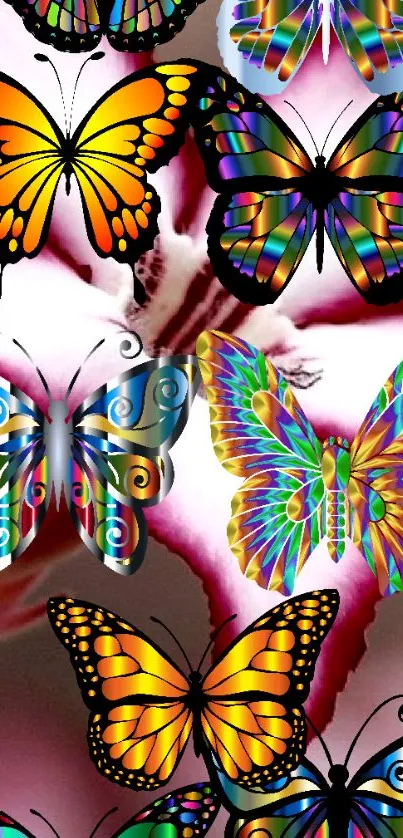 Colorful butterfly wallpaper with vibrant designs.