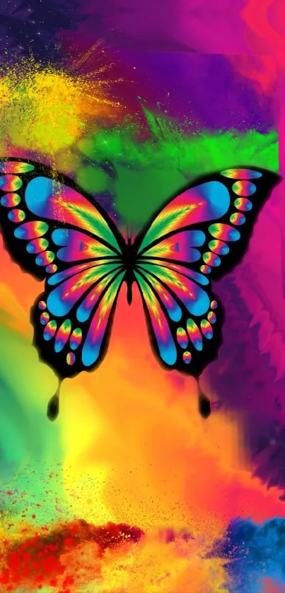 Colorful butterfly on vibrant pink and multicolor background wallpaper.