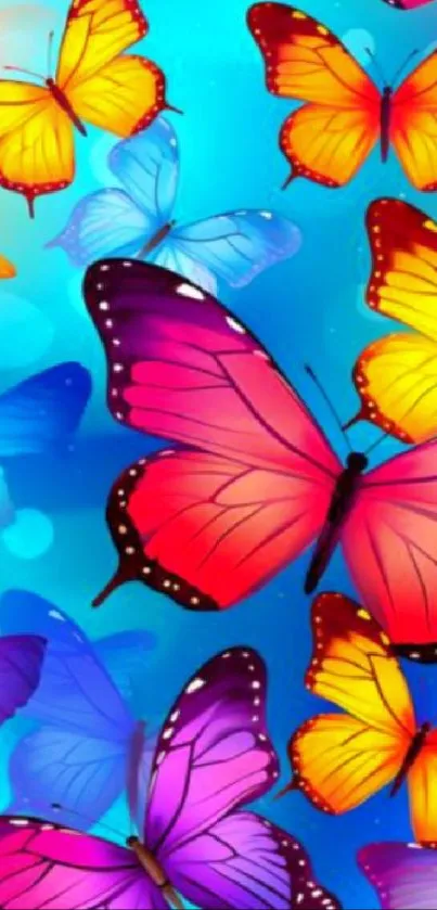 Vibrant mobile phone wallpaper with colorful butterflies on a blue background.