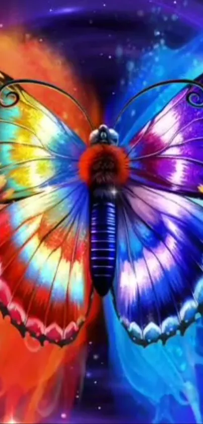 Vibrant butterfly with colorful wings on phone wallpaper.