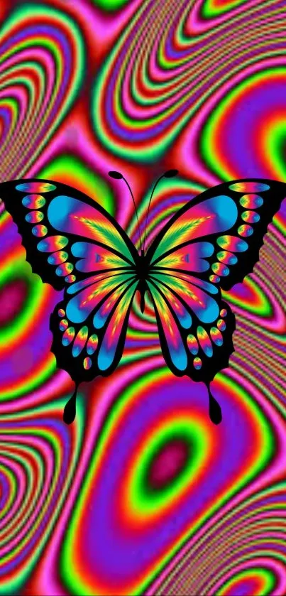 Colorful butterfly on a psychedelic pattern background.