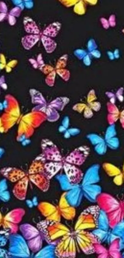 Colorful butterfly wallpaper on black background, perfect for vibrant phone screens.