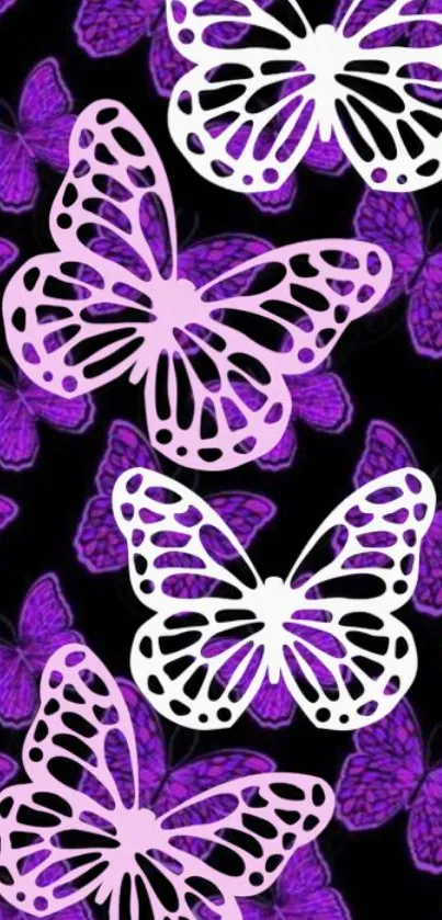 Purple butterflies with white accents on a dark background.