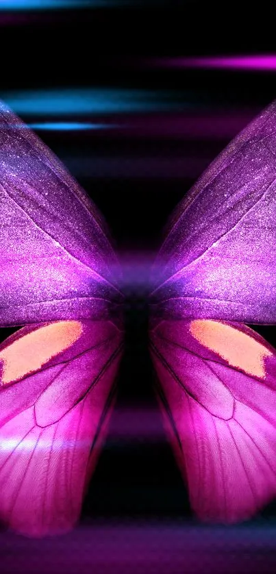 Vibrant glowing butterfly with purple and pink wings.