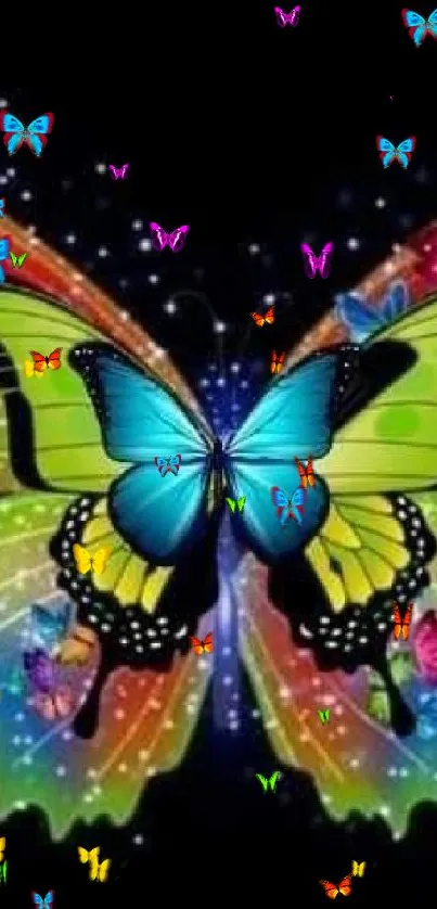 Colorful butterfly with vibrant wings on a black background wallpaper.