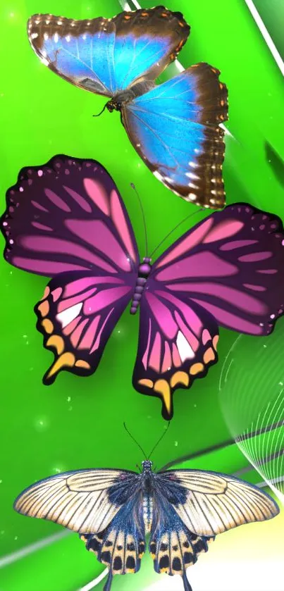 Colorful butterflies on a vibrant green background, perfect for phone wallpaper.