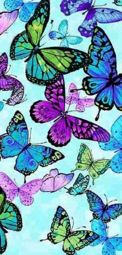 Colorful butterfly phone wallpaper with light blue background.