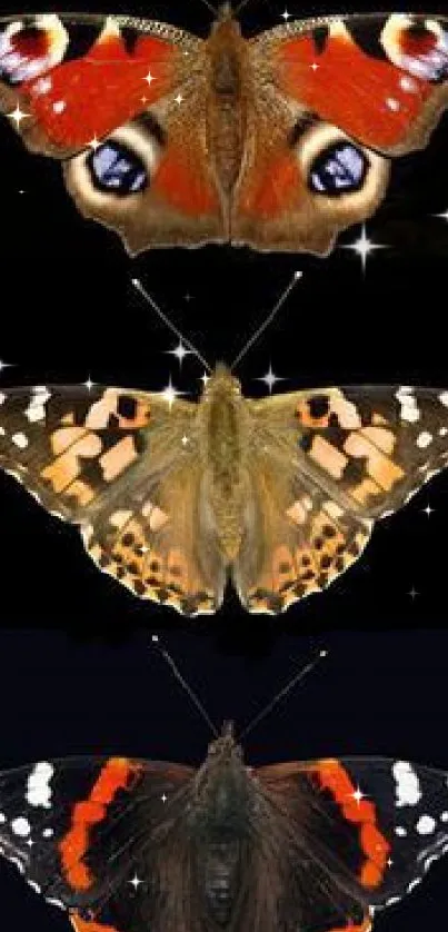 Three colorful butterflies on a dark mobile wallpaper.