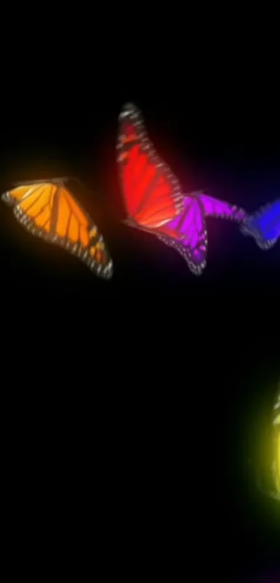 Vibrant butterflies in bright colors on a dark background for phone wallpaper.