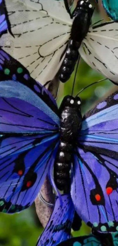 Vibrant blue butterfly wallpaper with detailed wings.