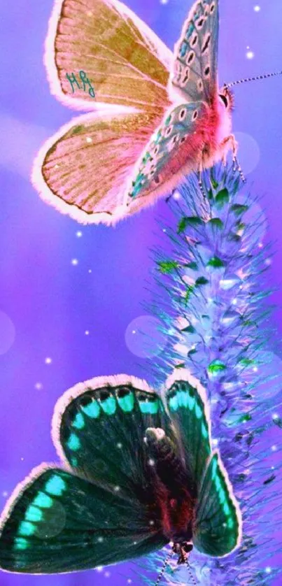 Beautiful purple wallpaper with two colorful butterflies.